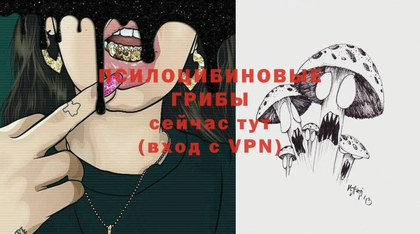 мет Семилуки