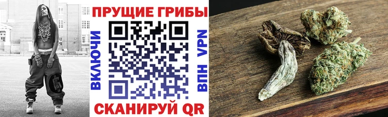 Галлюциногенные грибы ЛСД  hydra как зайти  Дюртюли  магазин продажи наркотиков 